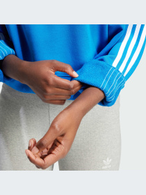 Худі та світшоти Adidas Adicolor модель IR5523 Фото