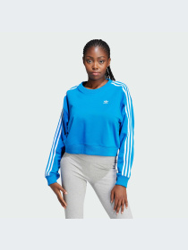 Худі та світшоти Adidas Adicolor модель IR5523 Фото