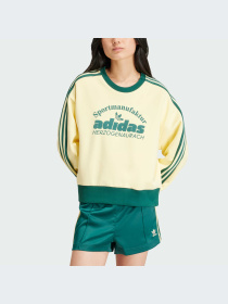 Худі та світшоти Adidas Graphics модель IS0373 Фото