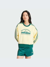 Худі та світшоти Adidas Graphics модель IS0373 Фото