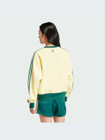 Худі та світшоти Adidas Graphics модель IS0373 Фото