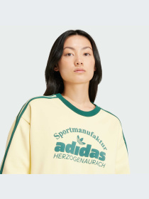 Худі та світшоти Adidas Graphics модель IS0373 Фото