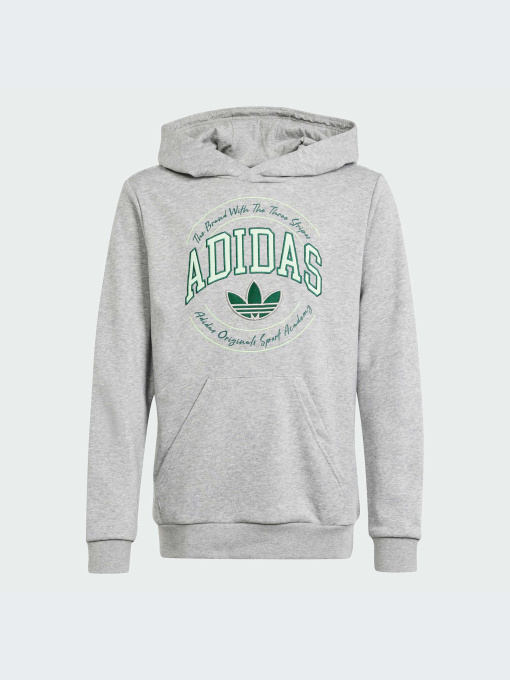 Худи и свитшоты Adidas Graphics модель IR9620 Фото