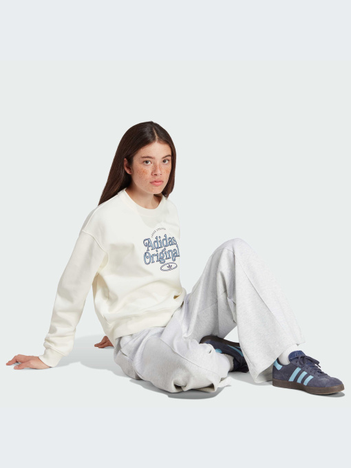 Худи и свитшоты Adidas Graphics модель IR7474 Фото