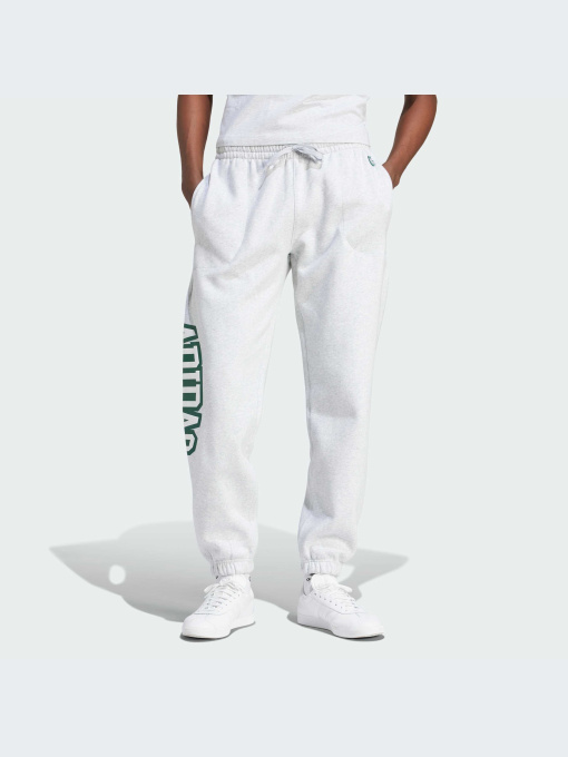 Брюки Adidas Graphics модель IS2900 Фото