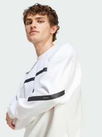 Худи и свитшоты Adidas ZNE модель JF2451 Фото