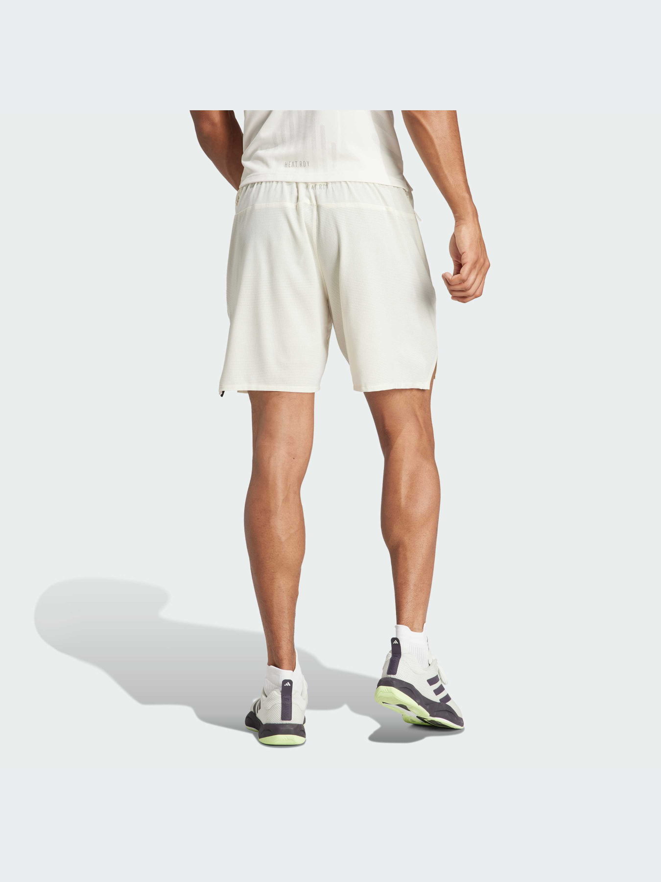 Шорты Adidas модель IS3733 Фото