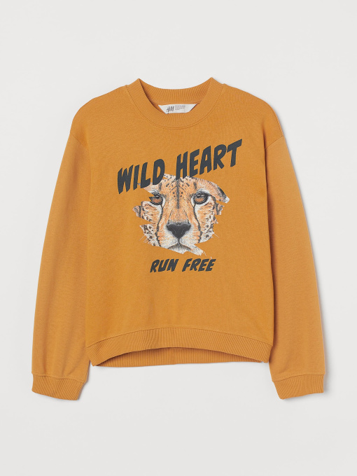 Худи и свитшоты H&M модель 73753 Фото
