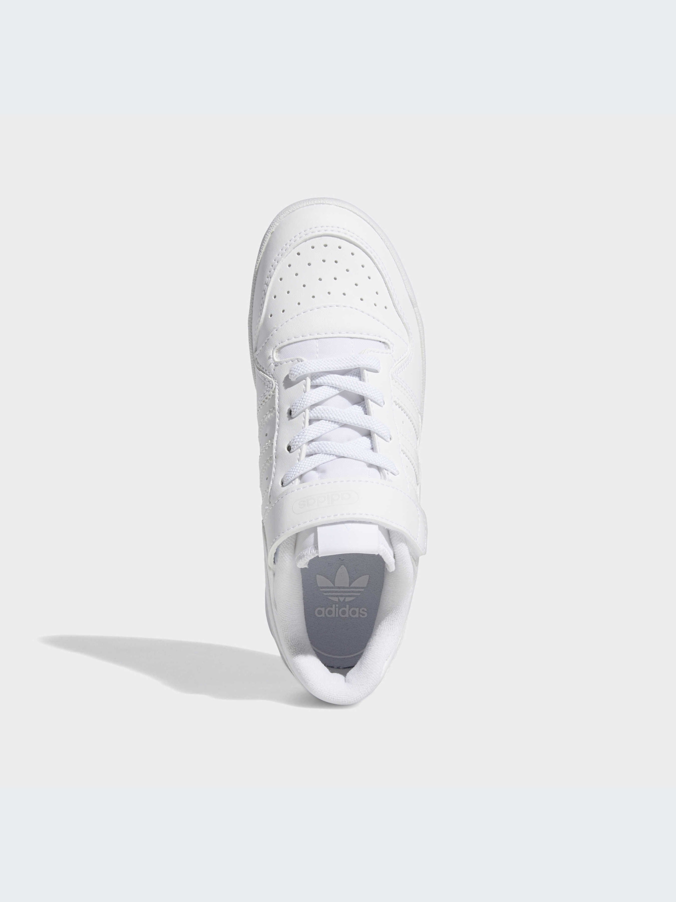Кроссовки Adidas Forum модель FY7981 Кроссовки Adidas Forum модель FY7981 Фото
