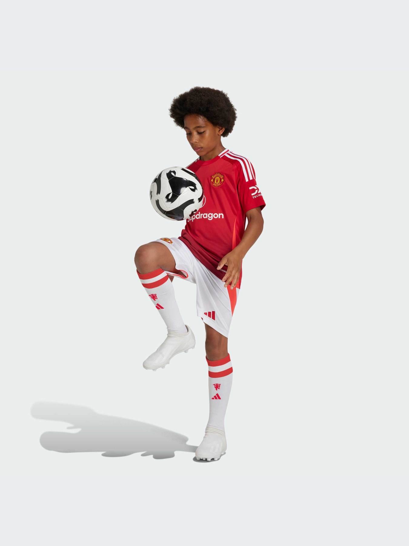 Шорты Adidas модель IT1975 Фото