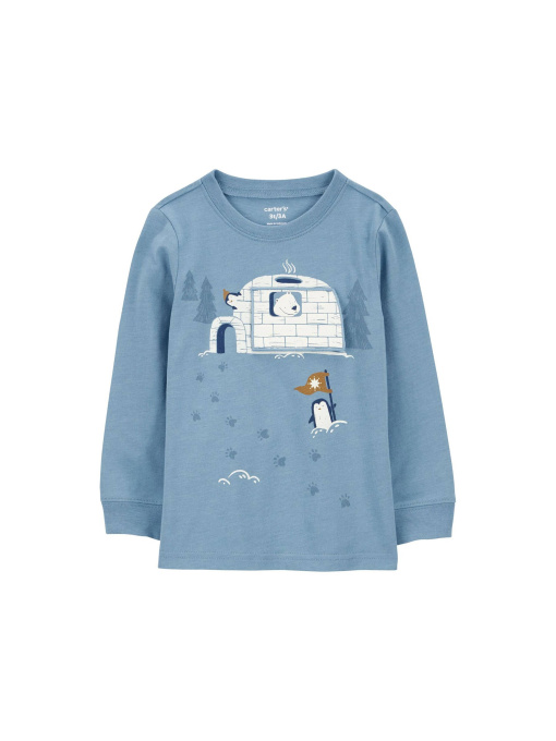 Худи и свитшоты Carter’s модель 1Q047010 Фото