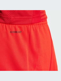 Шорты Adidas модель IT8513 Фото