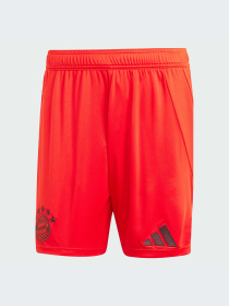Шорты Adidas модель IT8513 Фото