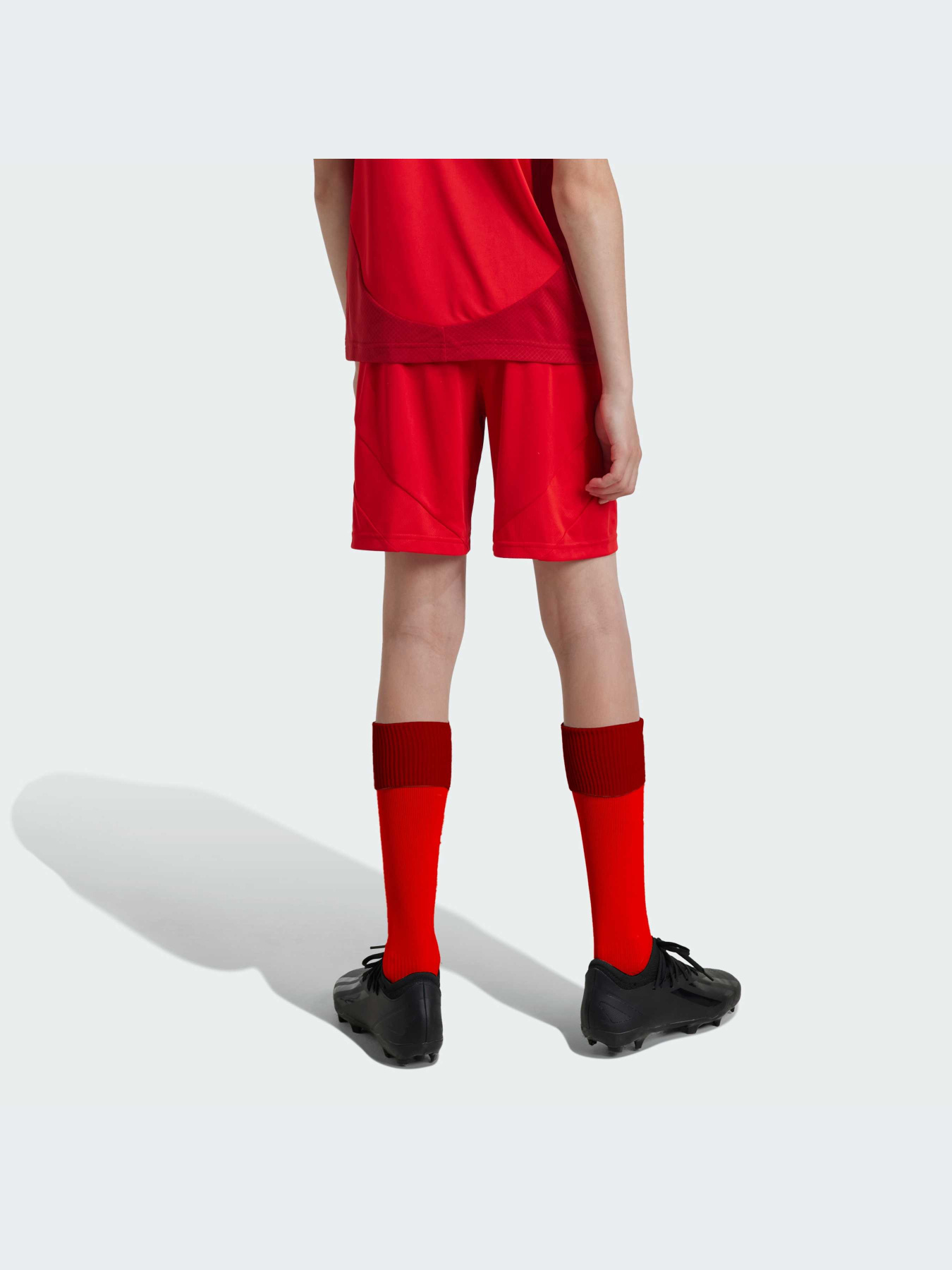 Шорты Adidas модель JD8336 Фото