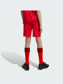 Шорты Adidas модель JD8336 Фото