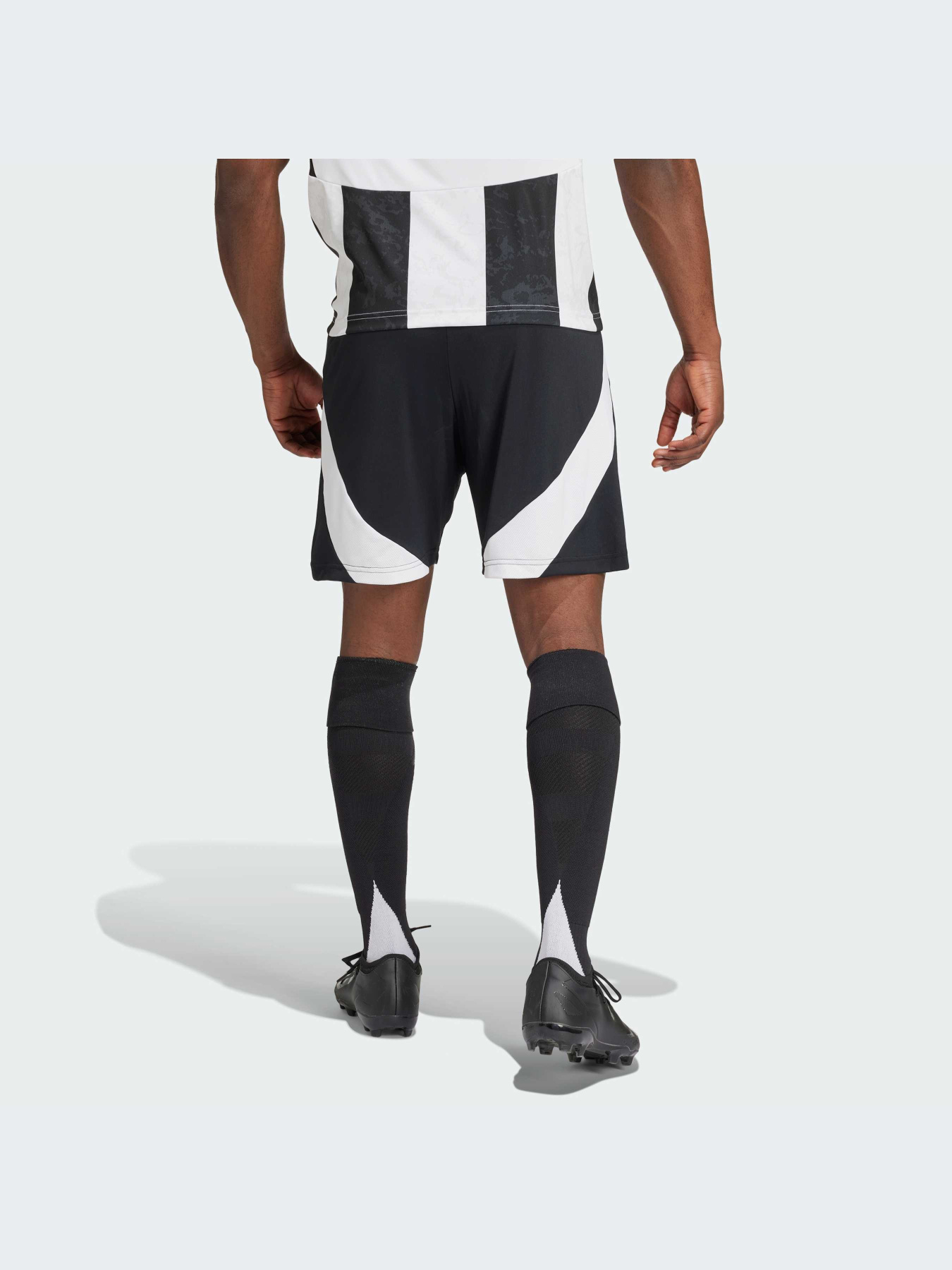 Шорты Adidas модель IS8003 Фото