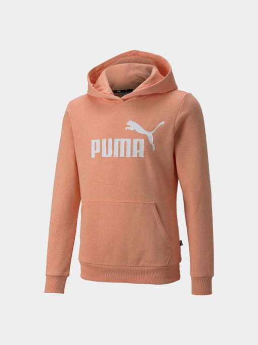 Худі та світшоти PUMA Ess Logo Hoodie модель 587031 Фото