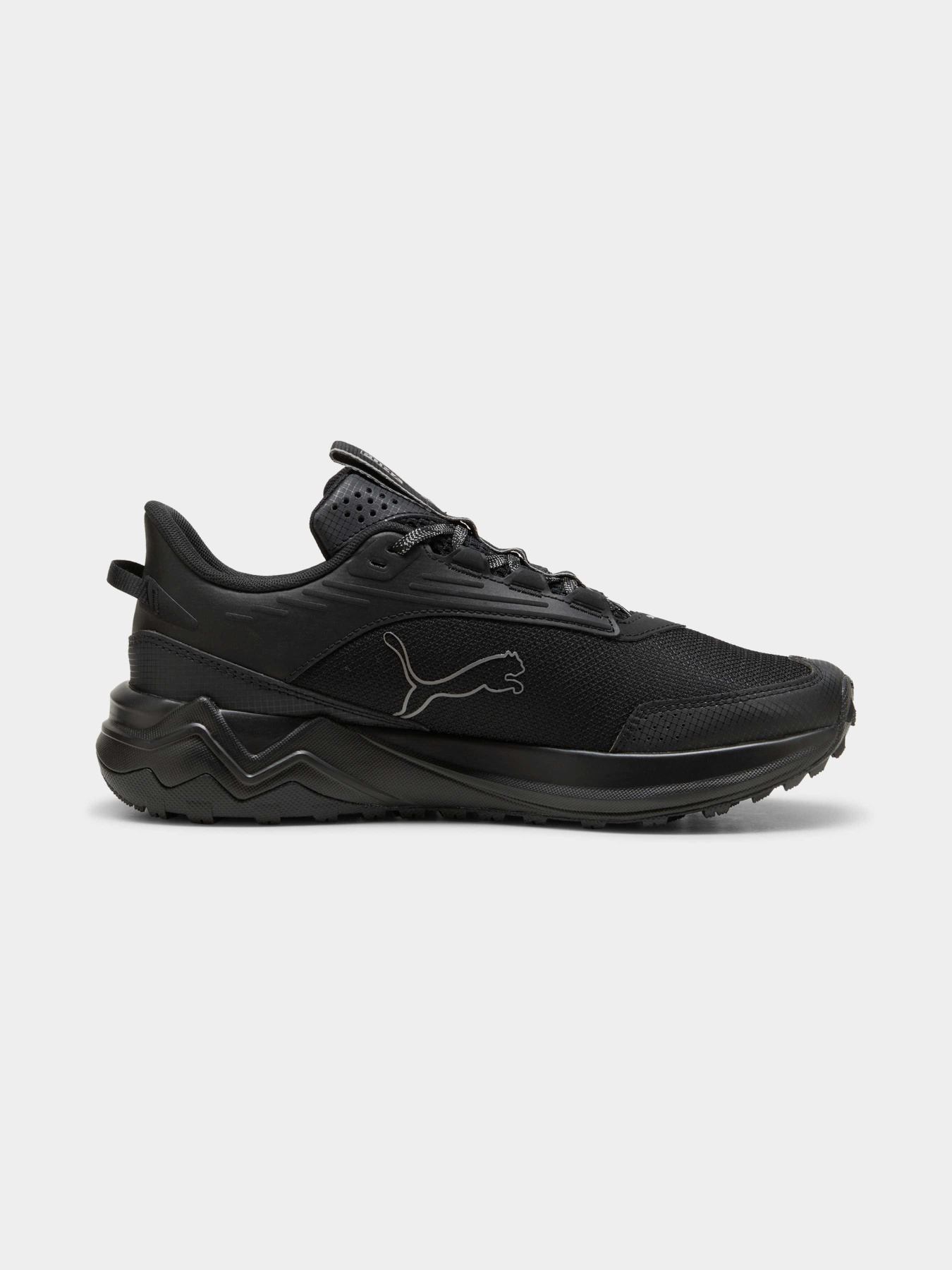 Кросівки PUMA Extend Lite Trail модель 379538 Фото