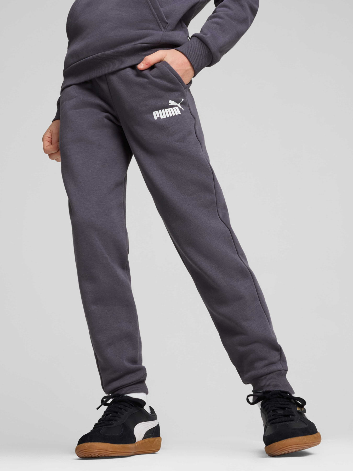 Штани PUMA Ess Logo Pants модель 586973 Штани PUMA Ess Logo Pants модель 586973 Фото