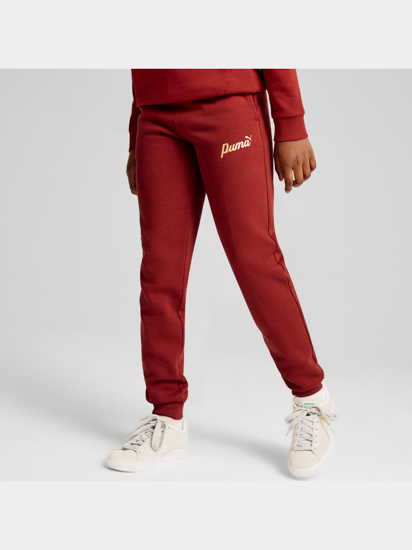Брюки PUMA Ess+ Script Pants Fl модель 682799 Фото