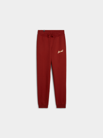 Брюки PUMA Ess+ Script Pants Fl модель 682799 Фото