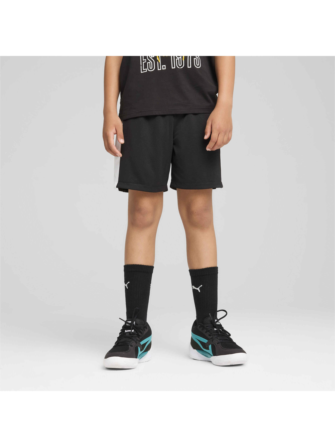 Шорты PUMA Bball Blueprint Mesh Shorts модель 679983 Фото