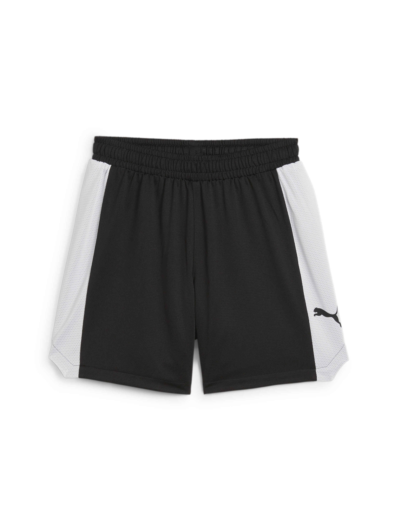 Шорты PUMA Bball Blueprint Mesh Shorts модель 679983 Фото