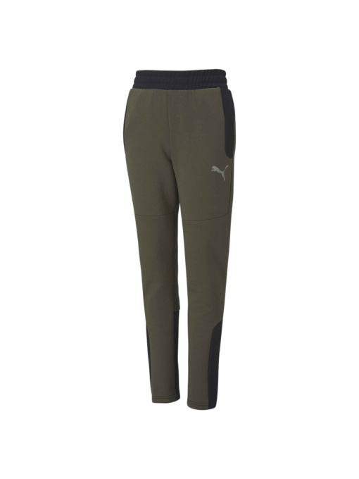 Штани PUMA Evostripe Pants модель 583229 Фото