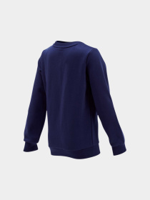 Худі та світшоти PUMA Boys Ess Crew Sweat Fl модель 854965 Фото