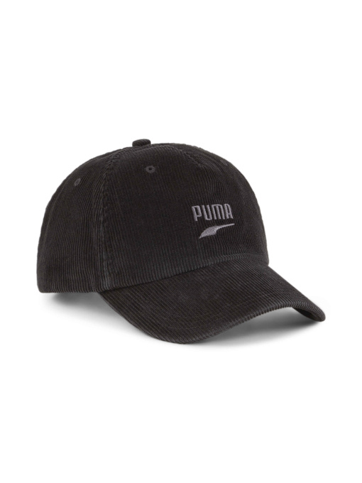 Шапки и кепки PUMA Skate Dad Cap модель 025502 Фото