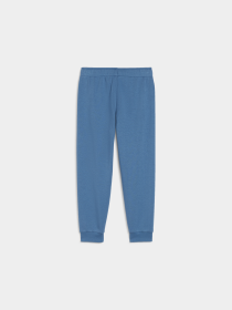 Брюки PUMA Ess+ Fc Sweatpants модель 681884 Фото