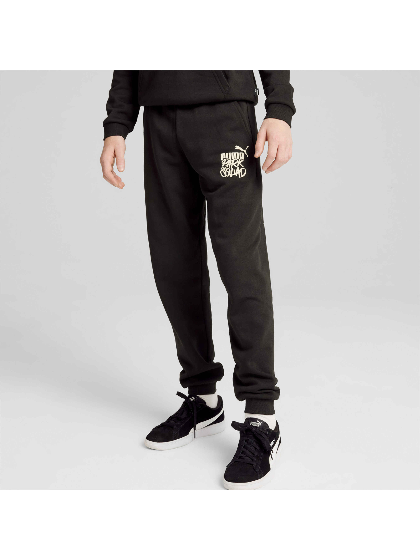 Брюки PUMA Ess+ Mid 90s Sweatpants Fl модель 681878 Фото