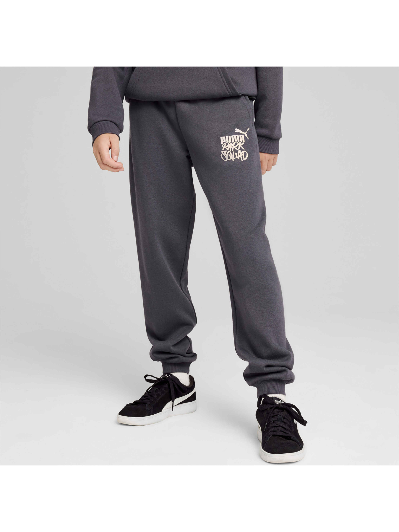 Штани PUMA Ess+ Mid 90s Sweatpants Fl модель 681878 Фото