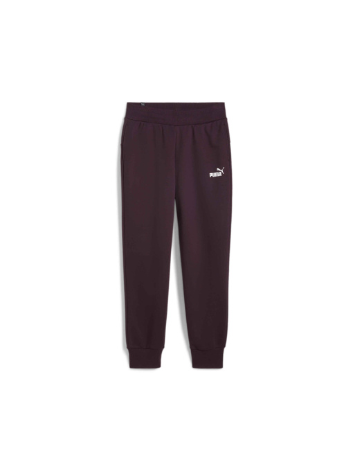 Штани PUMA Ess Sweatpants модель 586841 Фото