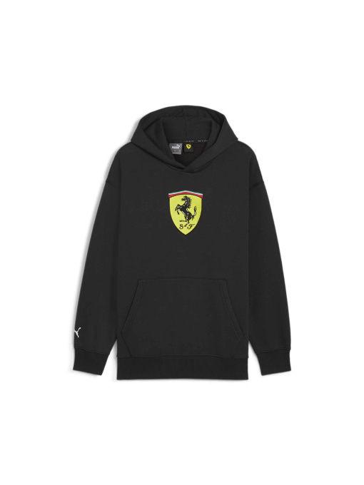 Худи и свитшоты PUMA Ferrari Race Bigshield Hdie модель 627054 Фото