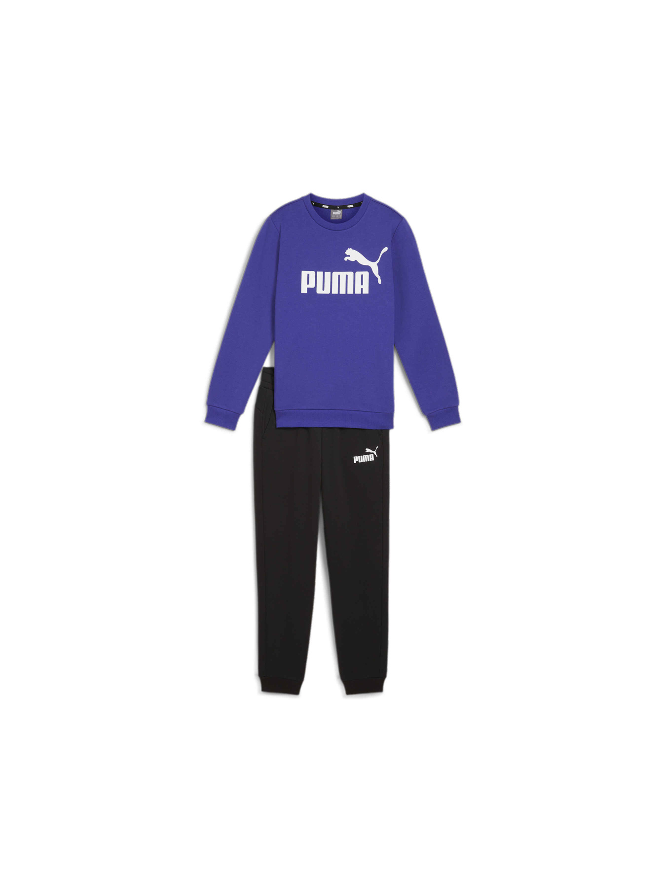 Костюми PUMA No.1 Logo Sweat Suit модель 670884 Фото