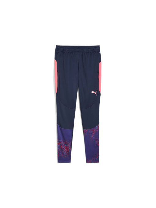 Брюки PUMA Individualfinaltrainingpants модель 659585 Фото