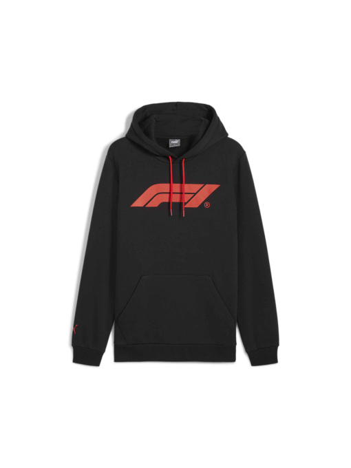 Худи и свитшоты PUMA F1 Ess Logo Hoodie Fl модель 627224 Фото