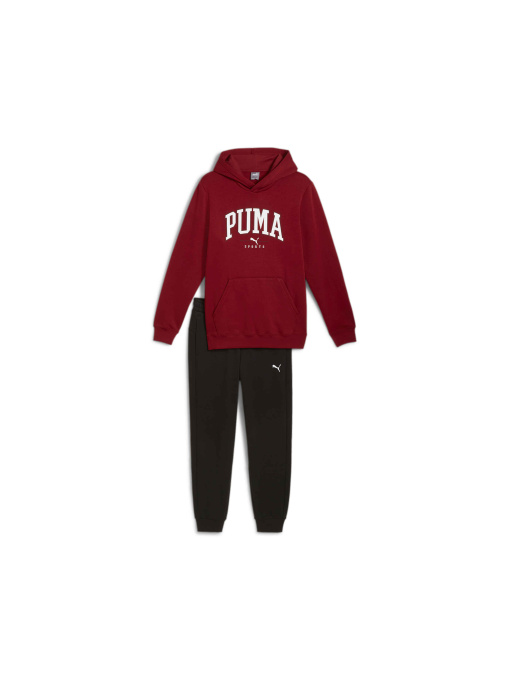 Костюмы PUMA Squad Hooded Suit Fl модель 683817 Фото