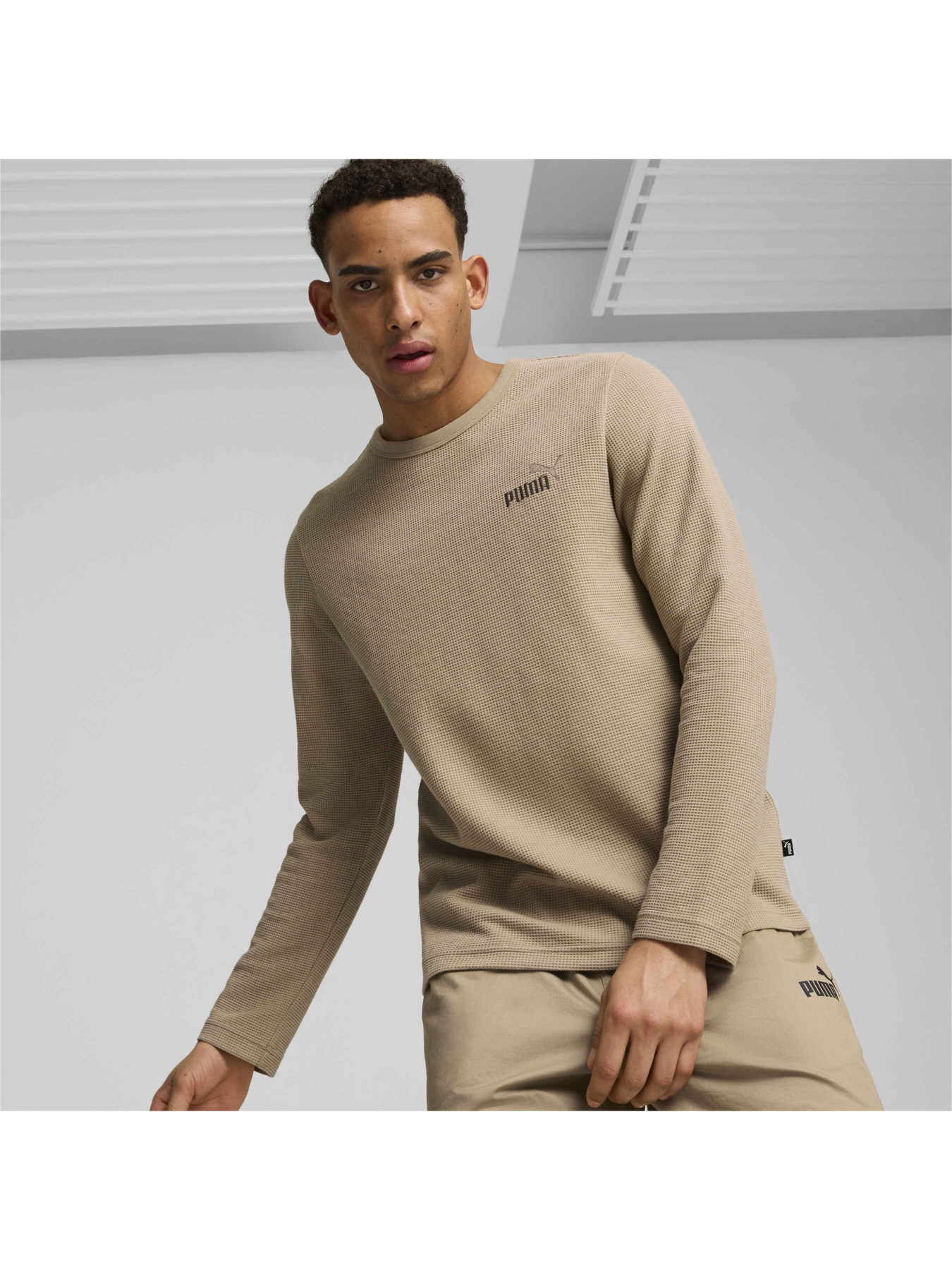 Худи и свитшоты PUMA Ess Elevated Longsleeve Tee модель 681888 Худи и свитшоты PUMA Ess Elevated Longsleeve Tee модель 681888 Фото