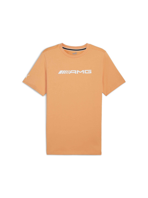 Футболки і поло PUMA Amg Logo Tee модель 627425 Фото