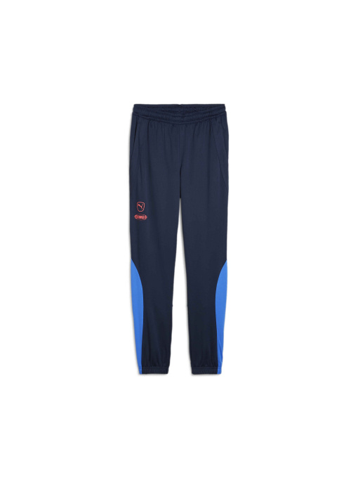 Брюки PUMA King Pro Training Pants модель 658351 Фото