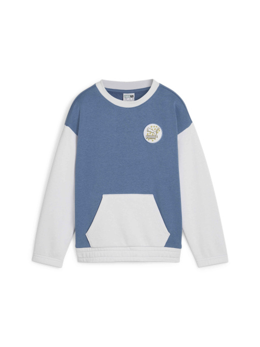 Худі та світшоти PUMA Classics Fc Crew модель 626498 Фото