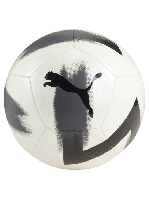 М'ячі PUMA Cage Ball модель 084346 Фото