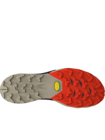 Кроссовки DYNAFIT Alpine Pro 2 модель 100010308 Фото