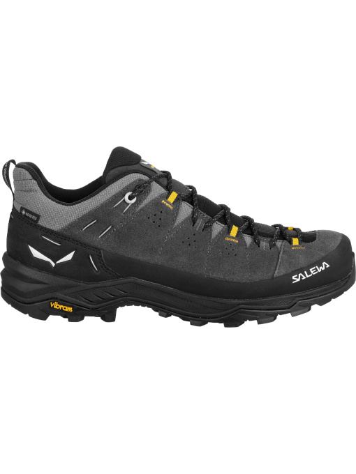 Кроссовки Salewa Alp Trainer 2 Gtx модель 100018814 Фото