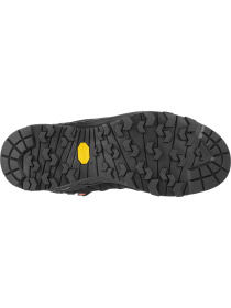 Черевики та чоботи Salewa Alp Trainer 2 Mid Gtx модель 100027784 Фото