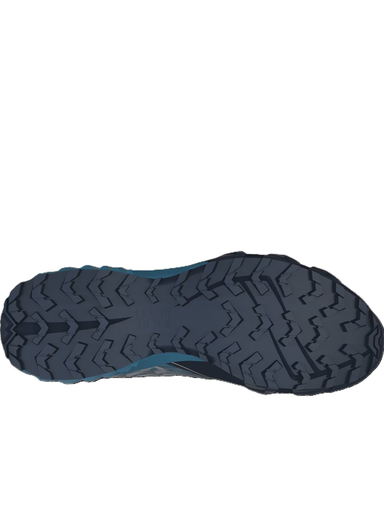 Кроссовки DYNAFIT Feline Sl Gtx Mns модель 100028576 Фото