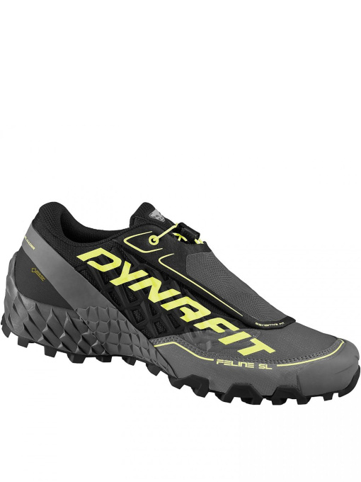 Кросівки DYNAFIT Feline Sl Gtx Mns модель 100028576 Фото