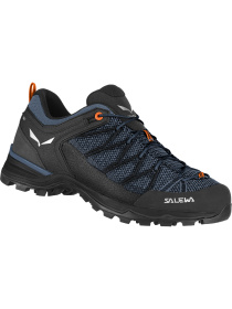 Кроссовки Salewa Mtn Trainer Lite модель 100029852 Фото